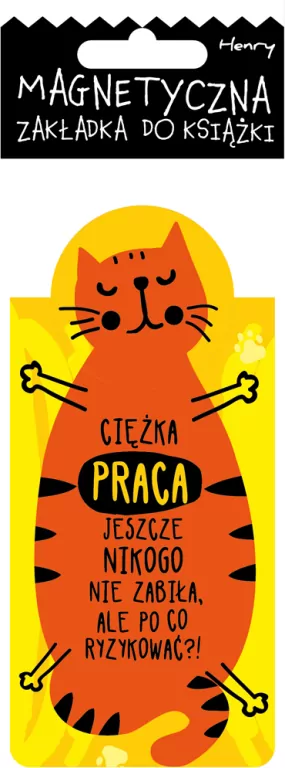 Zakładka magnetyczna. Kot. Turkus - tantis.pl