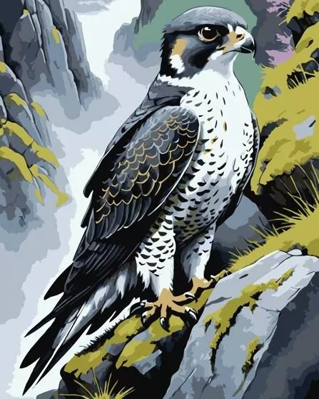 Malowanie po numerach - Wędrowiec na skale 40x50cm - tantis.pl
