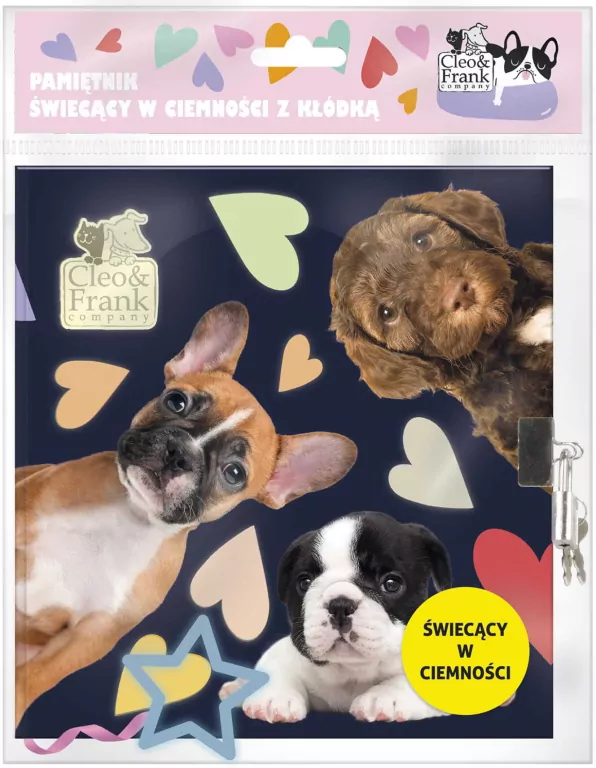 Pamiętnik świecący w ciemności z kłódką. Cleo&Frank Company - tantis.pl