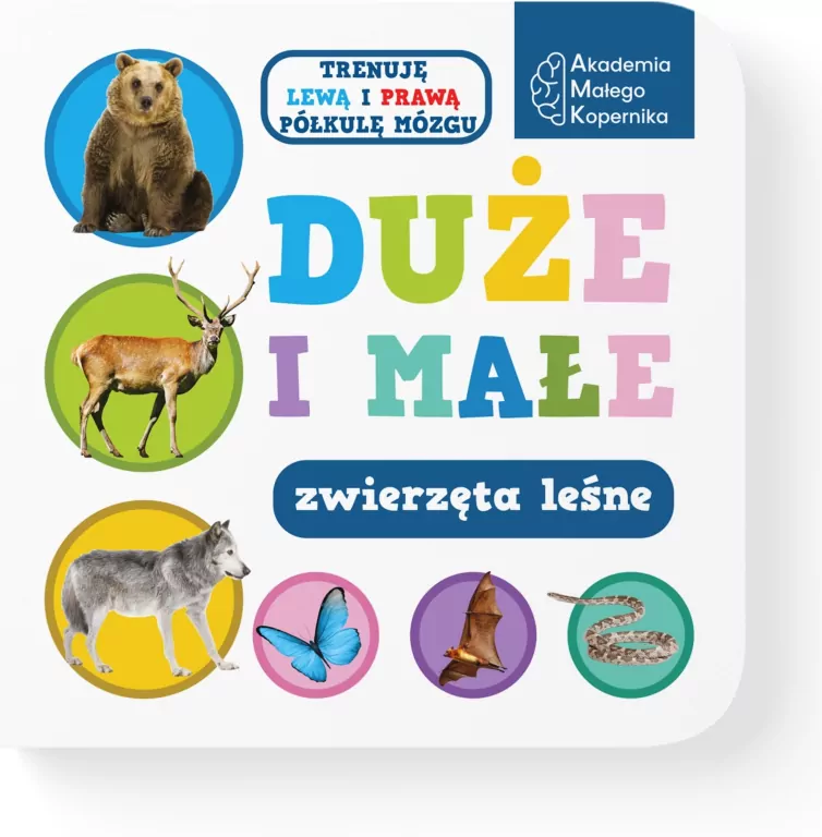 Duże i małe. Zwierzeta leśne - tantis.pl