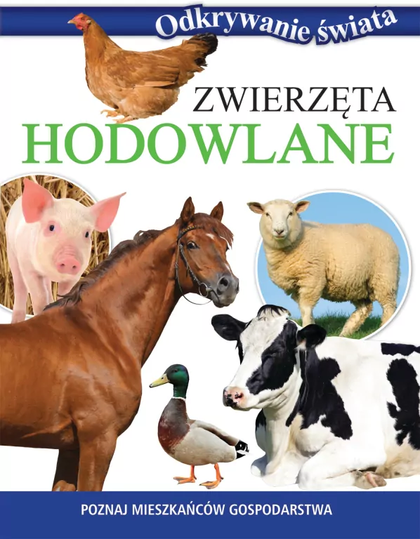 Odkrywanie świata. Zwierzęta hodowlane - tantis.pl