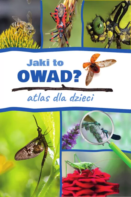 Jaki to owad? Atlas dla dzieci - tantis.pl