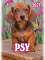 Kalendarz 2027 wieloplanszowy B4 Psy - tantis.pl
