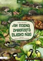 Jak rosną zwierzęta blisko nas. Od...do - tantis.pl