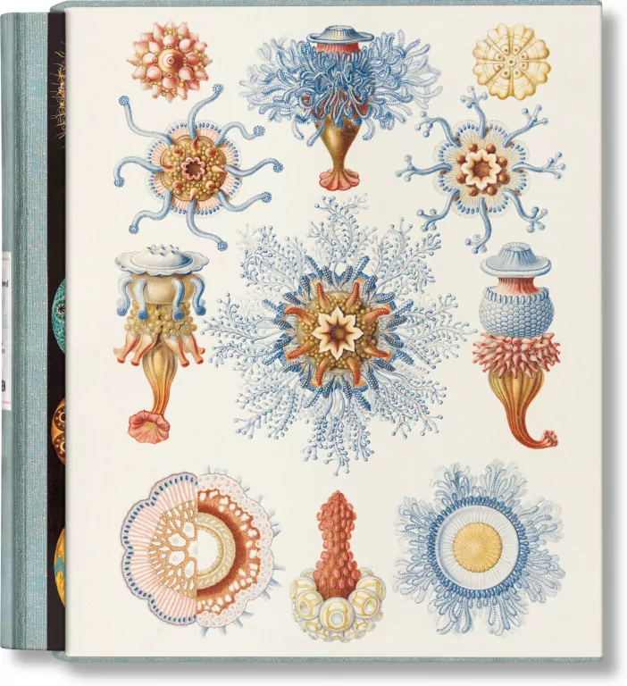 The Art and Science of Ernst Haeckel - tantis.pl