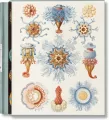 The Art and Science of Ernst Haeckel - tantis.pl
