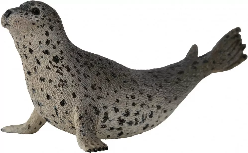 Collecta. Foka pstra - tantis.pl