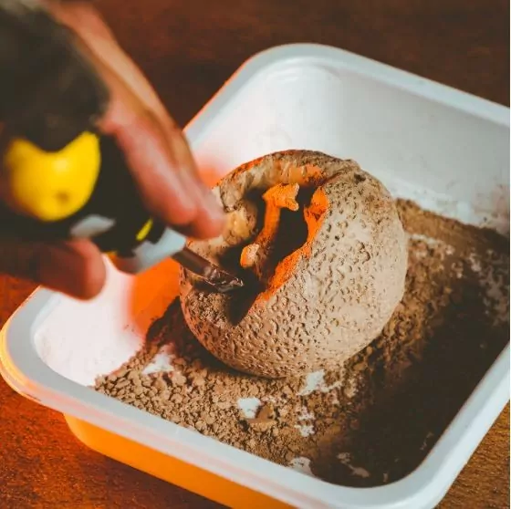 Smoki i dinozaury. Crazy Science - tantis.pl