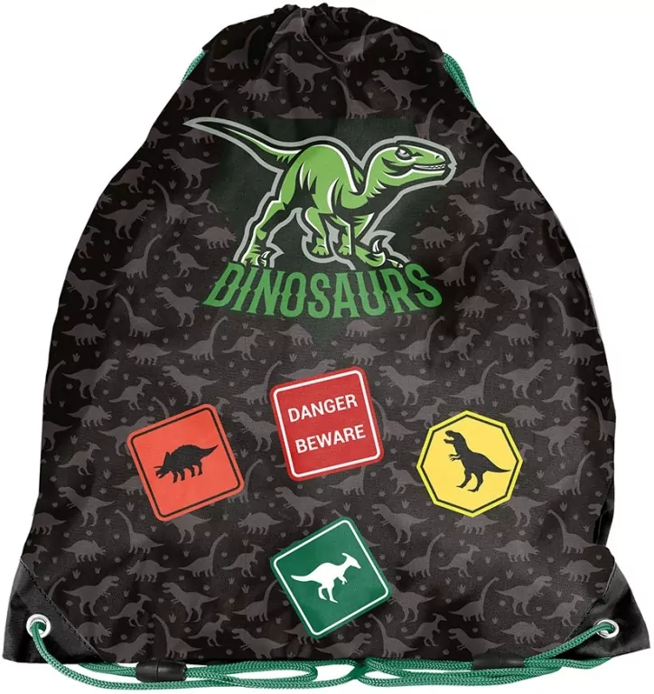 Worek na obuwie Dinozaur PP25DI-712 - tantis.pl