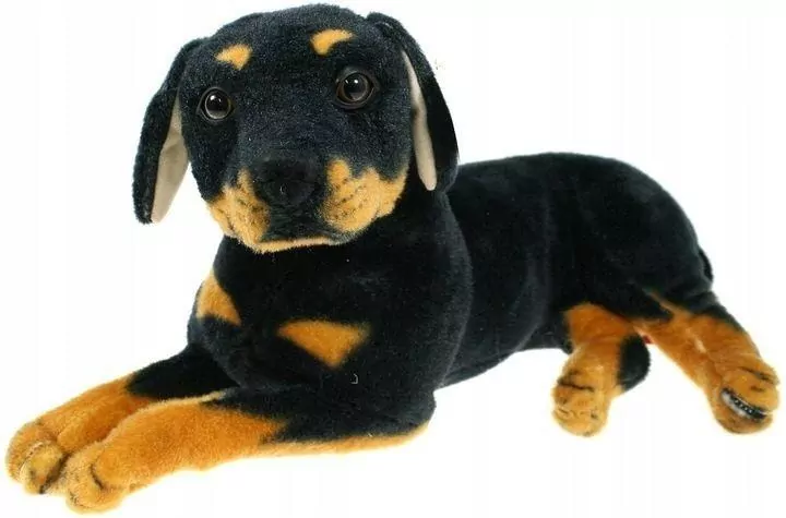 Pies rottweiler 47cm - tantis.pl