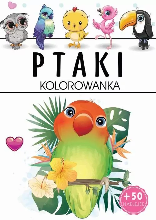 Arti. Ptaki. Kolorowanka - tantis.pl