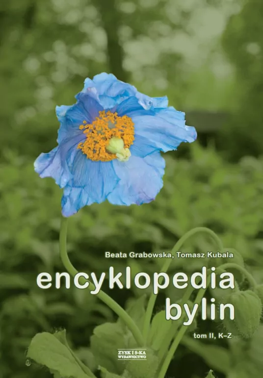 Encyklopedia bylin. Tom 2 (K-Z) - tantis.pl