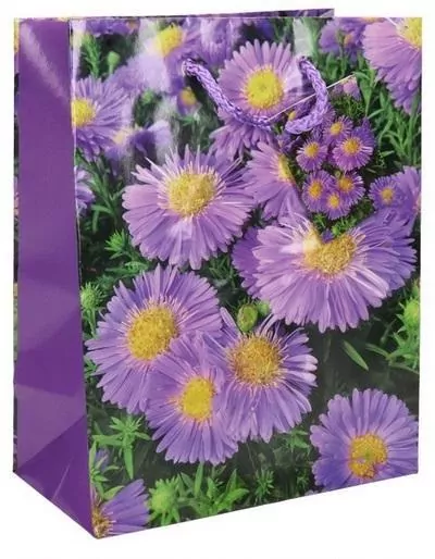 Torba ozdobna 17,8x10,2x22,8cm (12szt) - tantis.pl
