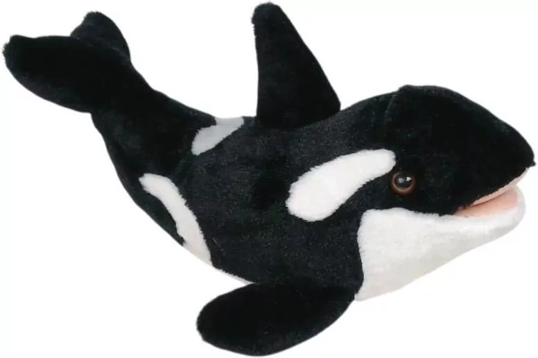 Orka 30cm - tantis.pl