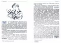 Przygody Hucka z opracowaniem - tantis.pl