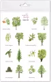 Naklejki Drzewa 2 - tantis.pl