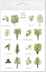 Naklejki Drzewa 2