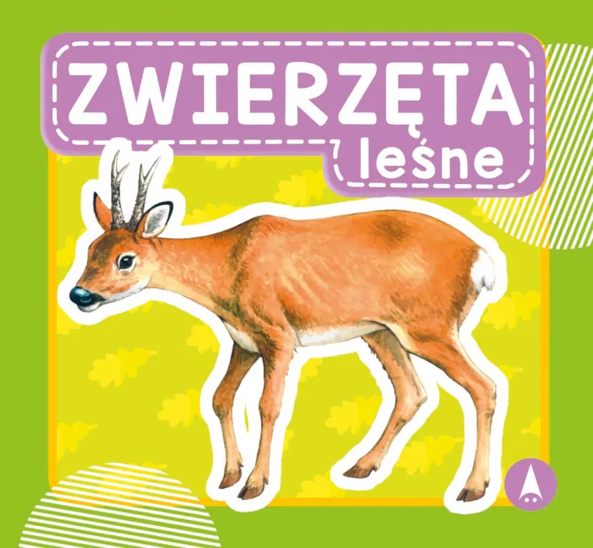 Zwierzęta leśne - tantis.pl