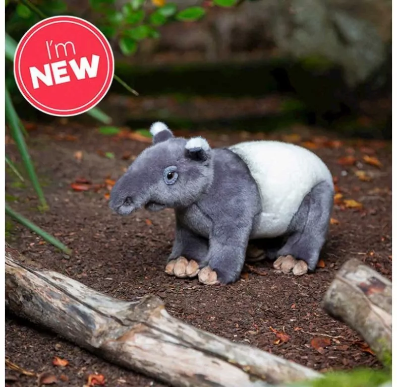Tapir - tantis.pl