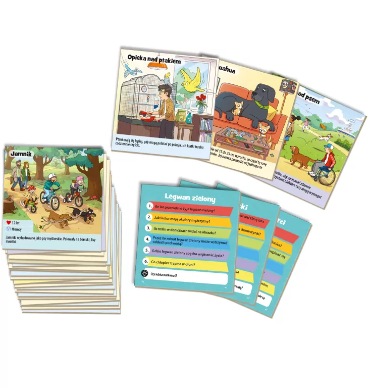 BrainBox. Zwierzęta domowe - tantis.pl