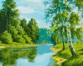 Malowanie po numerach - Brzozowa krawędź 40x50cm - tantis.pl