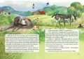 Muzykanci z Bremy - tantis.pl