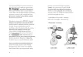 Glutologia - tantis.pl