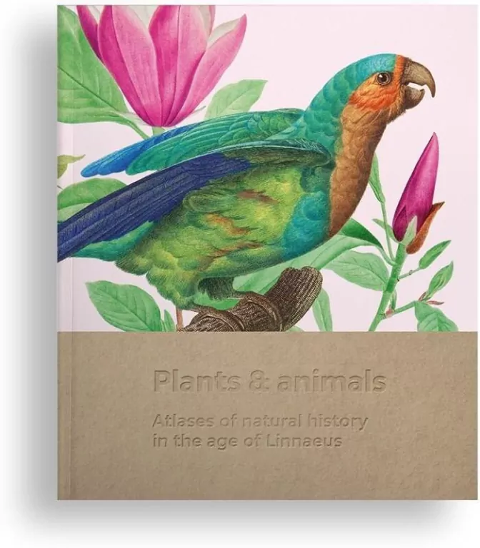 Plants and animals - tantis.pl