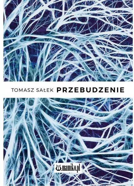 Przebudzenie - tantis.pl