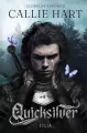 Quicksilver - tantis.pl