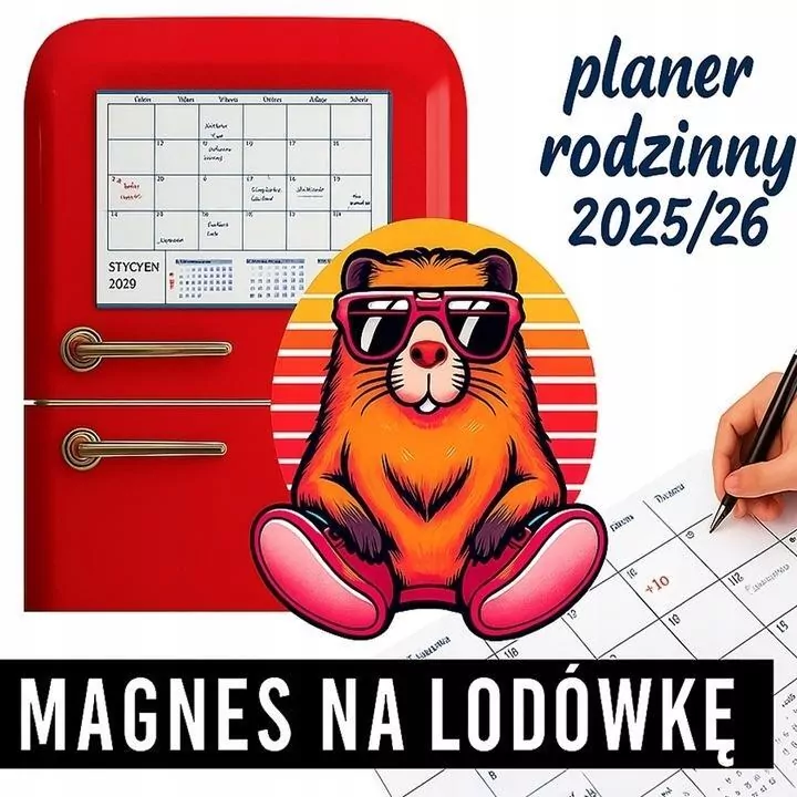 Kalendarz 2025/26 planer rodzinny magnes Kapibara - tantis.pl