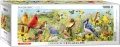Puzzle 1000 Ptaki w ogrodzie, Panorama - tantis.pl