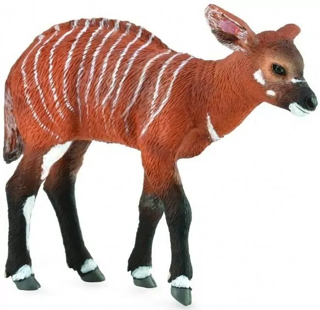 Krowa Bongo cielę - tantis.pl
