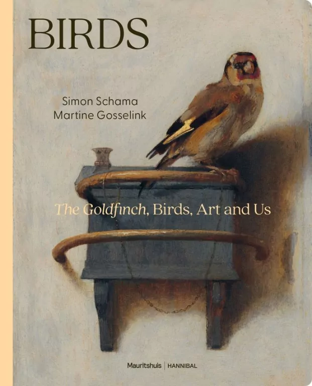 Birds - tantis.pl