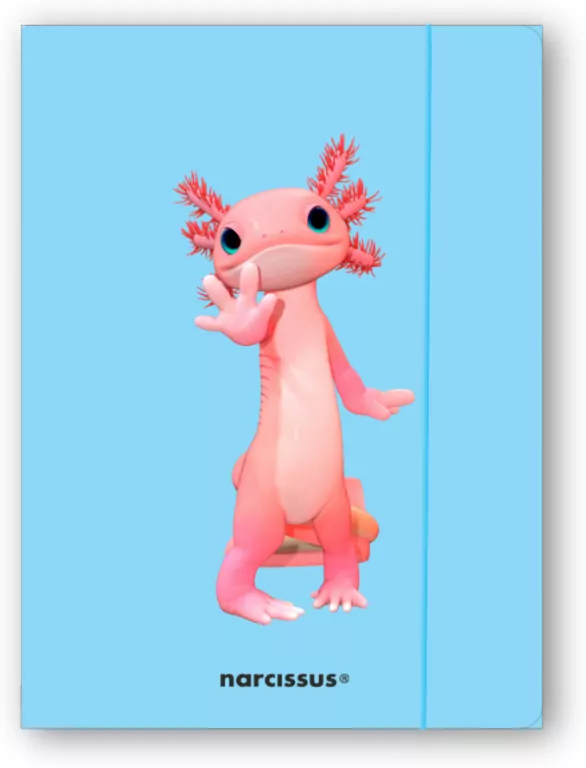 Teczka A4+ z gumką Teddies&Aksolotl - tantis.pl