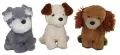 Pies 22cm MIX - tantis.pl