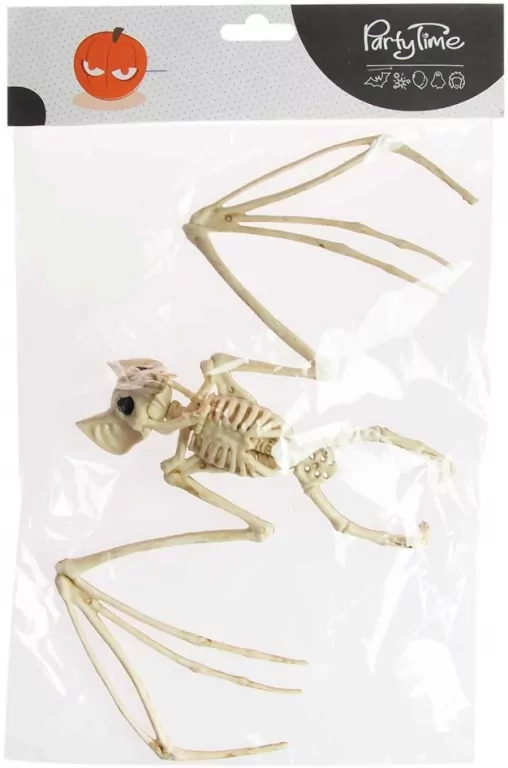 Szkielet nietoperza - tantis.pl