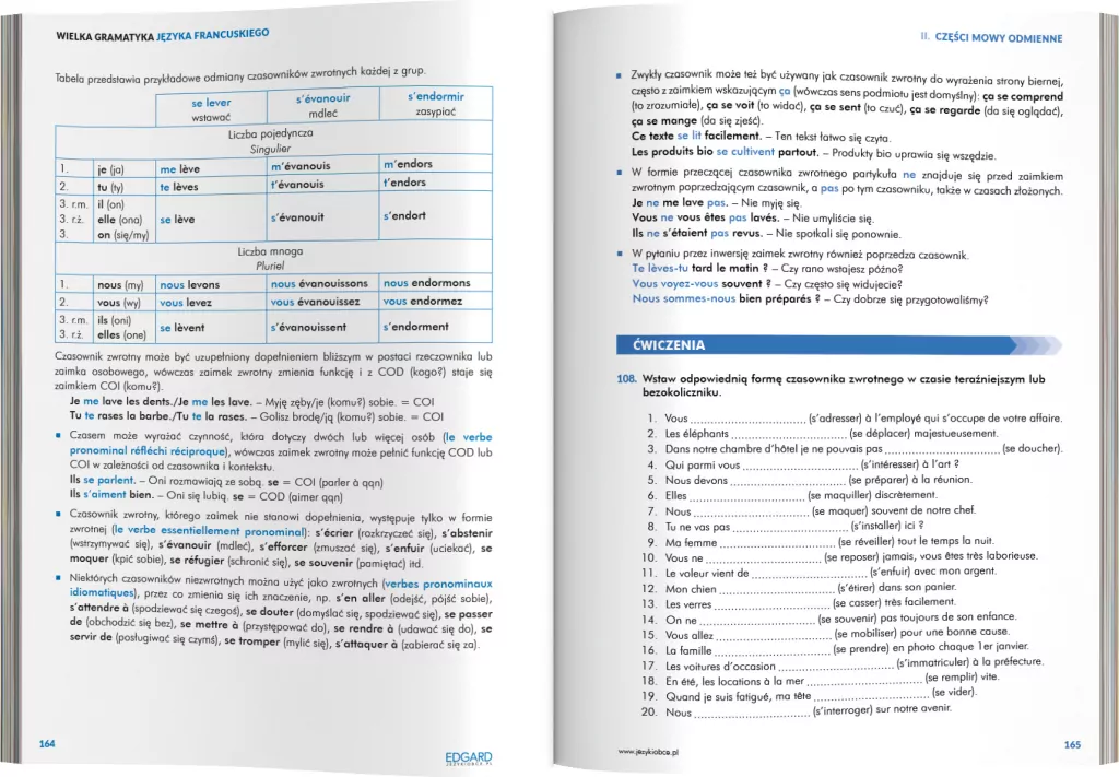 Wielka gramatyka języka francuskiego - tantis.pl