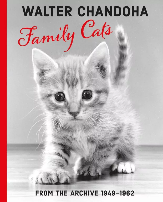 Family Cats. From the Archive 1949-1962 - tantis.pl