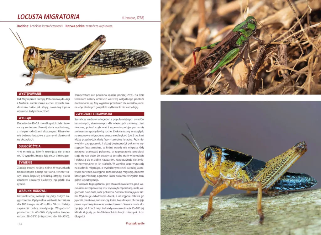 Atlas owadów hodowlanych - tantis.pl