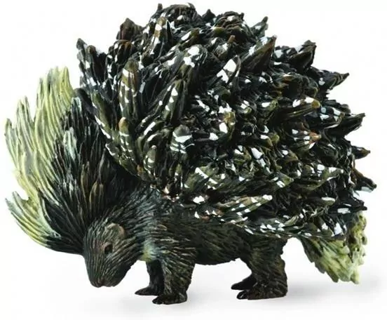 Jeżozwierz indyjski - tantis.pl