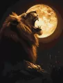 Malowanie po numerach - Nocny drapieżnik 30x40cm - tantis.pl