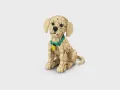 LEGO® Icons. Szczeniak golden retriever 11384 - tantis.pl