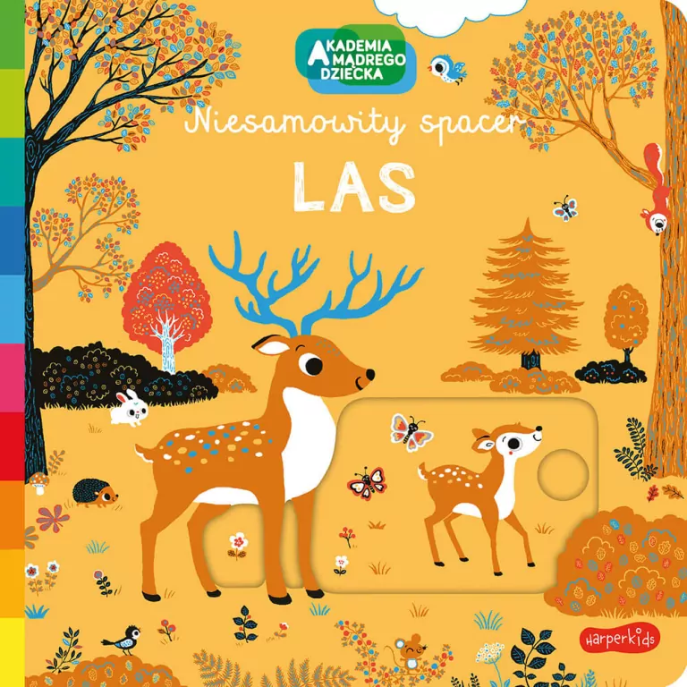 Las. Niesamowity spacer. Akademia Mądrego Dziecka - tantis.pl