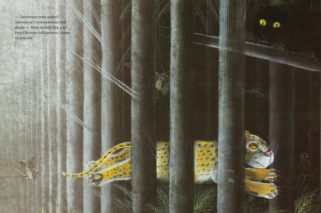 Leopantera - tantis.pl