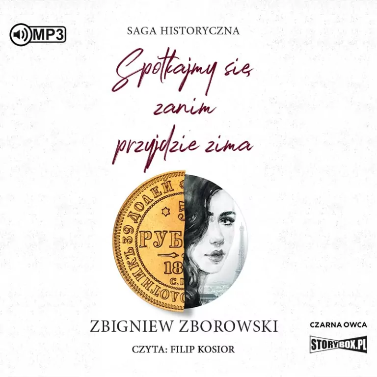 Spotkajmy się, zanim przyjdzie zima audiobook - tantis.pl