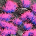 Gamers Grass: Special tufts - 4 mm - Alien Neon (Wild) - tantis.pl