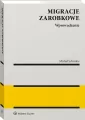 Migracje zarobkowe. Wprowadzenie do analizy - tantis.pl