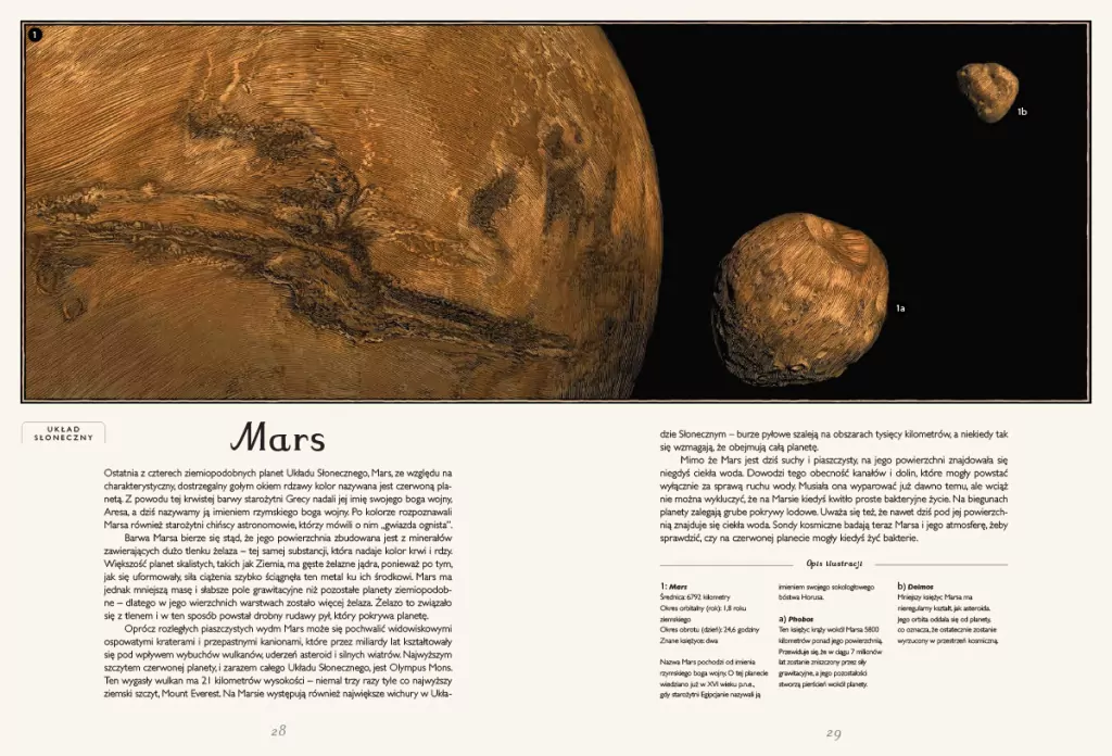 Planetarium. W Muzeum - tantis.pl