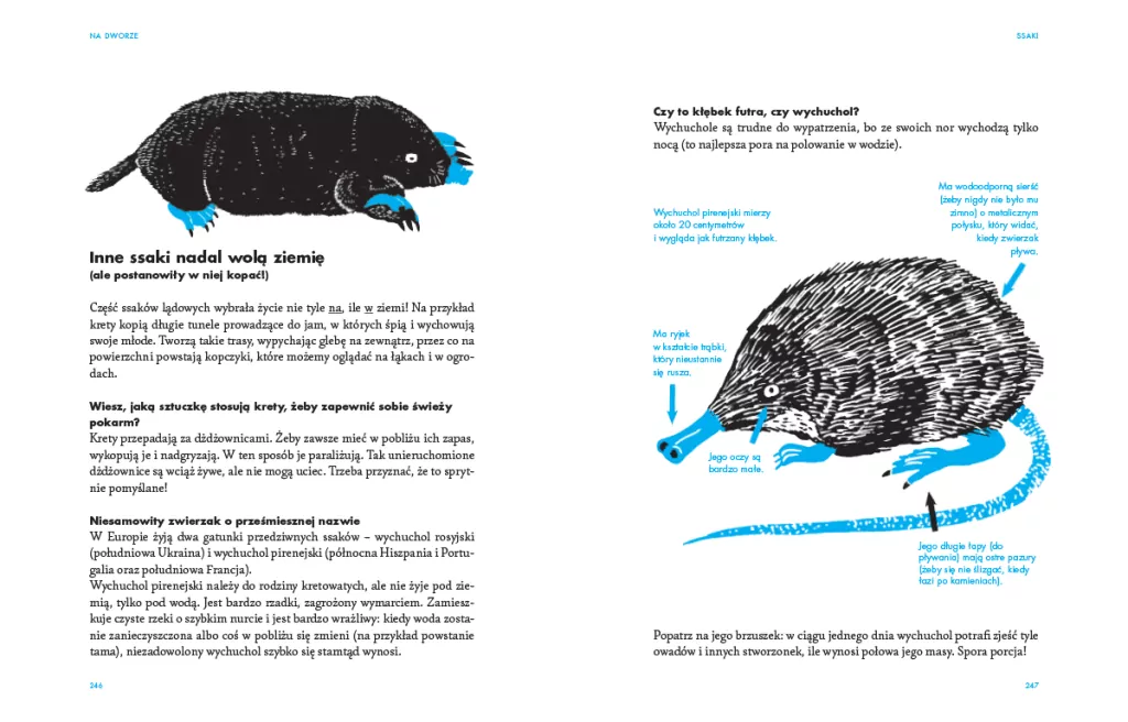 Na dworze. Przewodnik dla odkrywców przyrody - tantis.pl